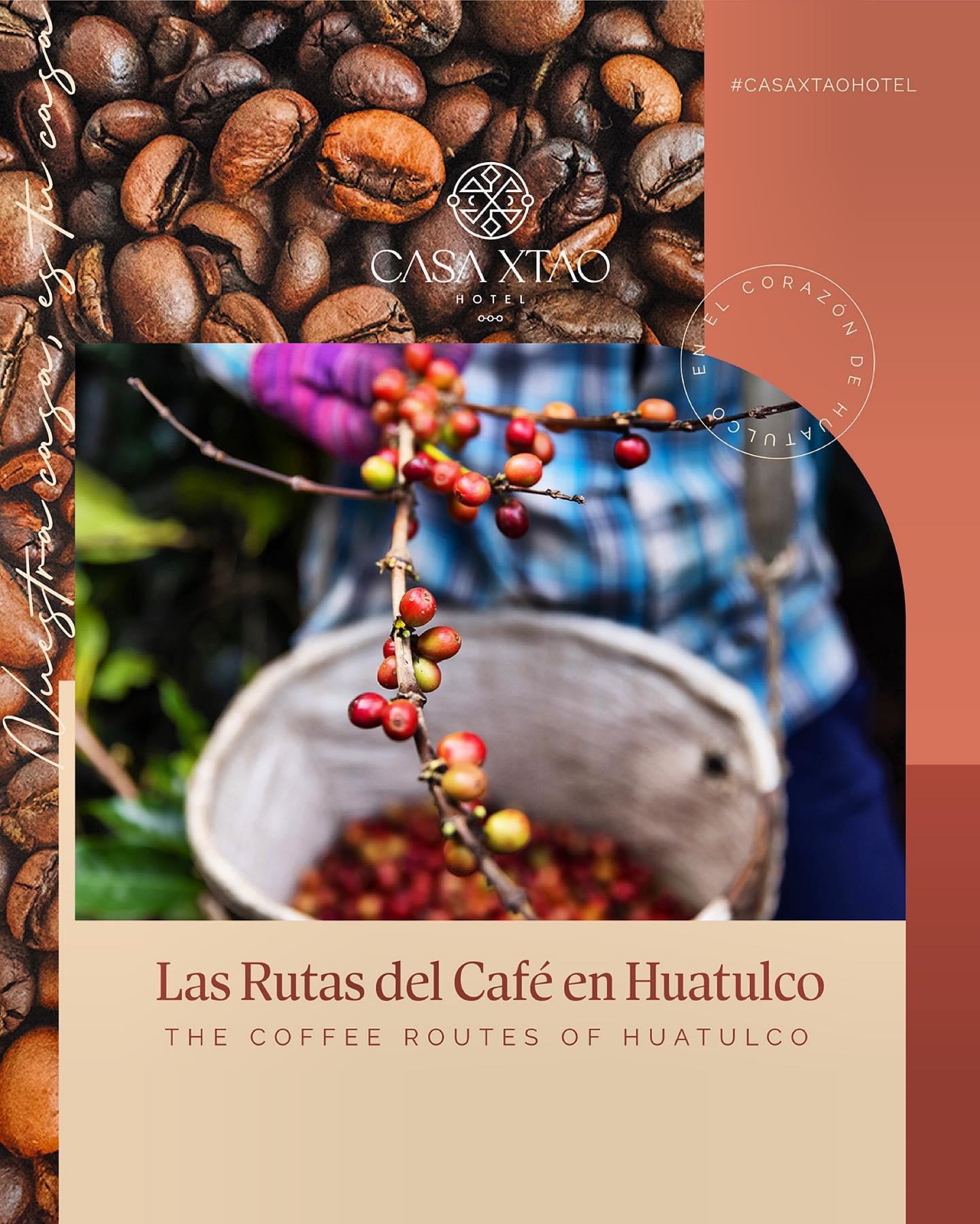 Rutas del Café